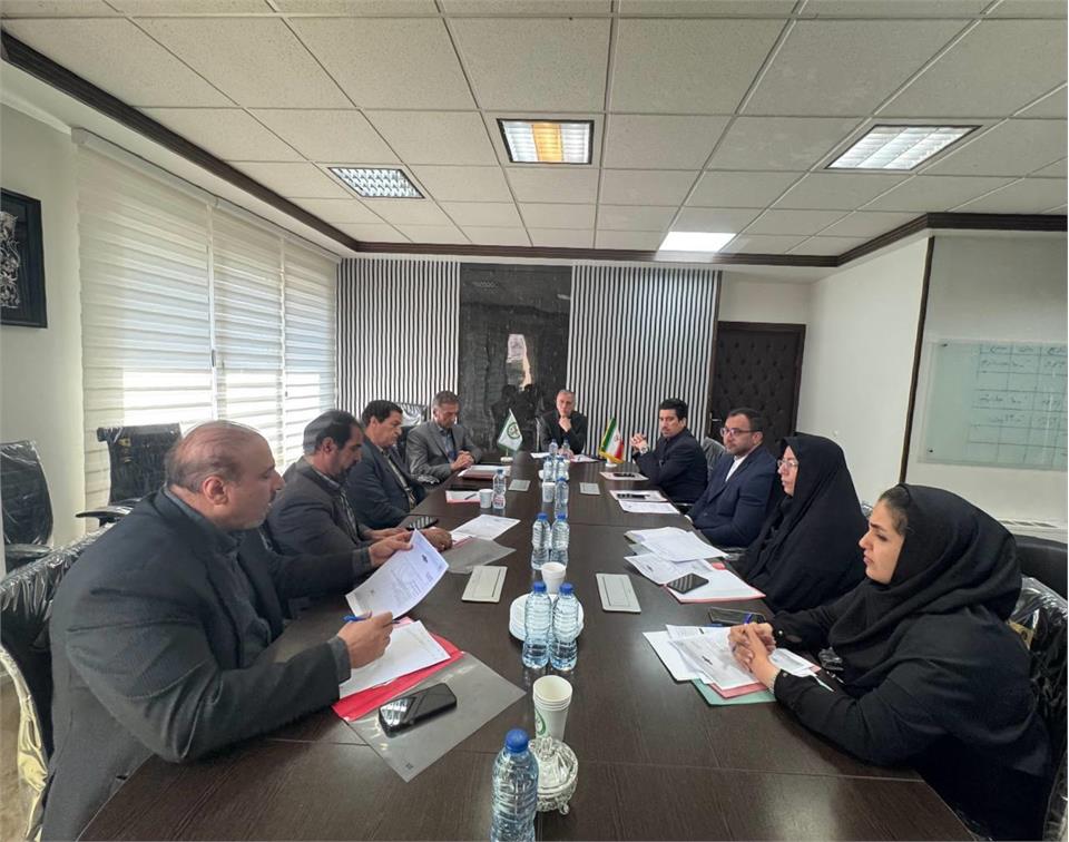 فدراسیون آمادگی جسمانی و تندرستی، هیات رییسه فدراسیون